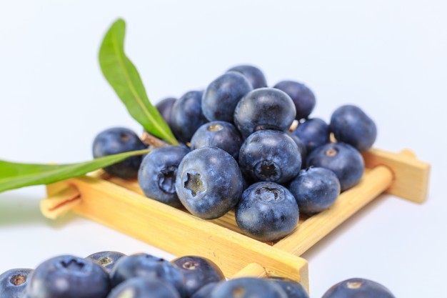 減壓食物-藍莓
