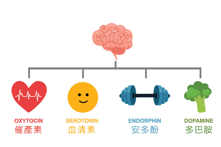 快樂荷爾蒙-多巴胺-安多酚-催產素-血清素-穩定情緒方法-精神科醫生-余綺華